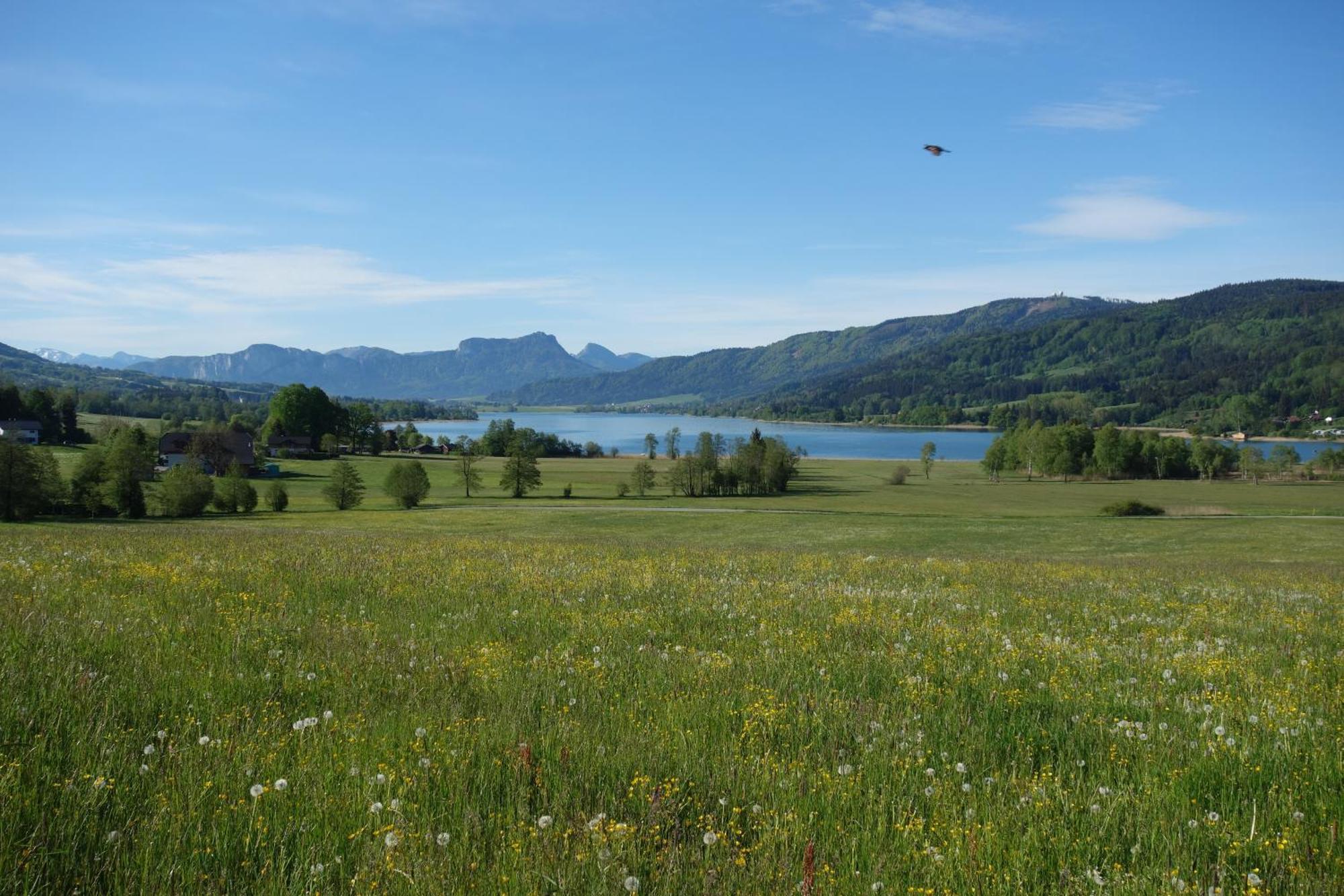 Sunnhof Villa Oberhofen am Irrsee Eksteriør bilde